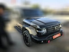 2025 Tank 300 PHEV 2024 2.0T AT Hi4-T #2