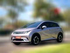 2022 BYD Dolphin 2021 405km Fashion #1