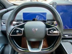 2024 Neta X 2023 500 #9