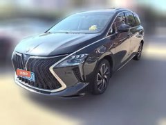 2022 Dongfeng Fengxing Fengxing Youting 2022 1.5T AT DCTChase the wavesEdition #1
