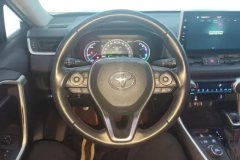 2022 Toyota Wildlander PHEV 2021 High Performance 2.5L AT 2WDPowerQingEdition #15