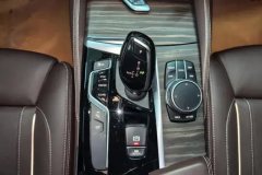 2020 BMW 5 Series 2020 2.0T AT 530LiExclusiveLuxury Pkg #16