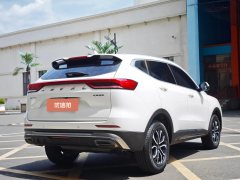 2022 Haval H6 2021 1.5T AT China tideUrbanEdition #7