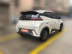 2023 BYD Seagull 2023 freeEdition #2
