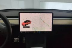 2021 Tesla Model Y 2021StandardBattery lifeRWDEdition #13