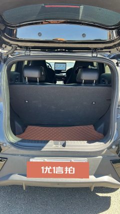 2024 BYD Seagull 2024 Glory 305KM freeEdition #12