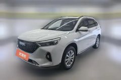 2021 Haval M6 2021 1.5T AT DCTLuxurySmart ConnectPLUS #1