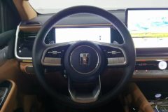 2025 Tank 500 PHEV 2024 Hi4-T 2.0T AT #15
