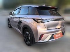 2022 BYD Dolphin 2021 405km Fashion #7