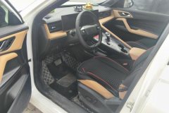 2025 Roewe RX5 2023 1.5T AT superiorEdition #9