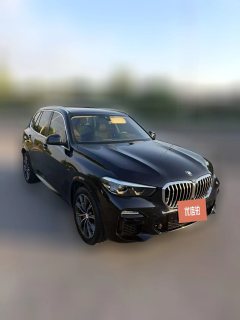 2020 BMW X5(Imported)(Imported) 2020 2.0T AT 30i MSport Pkg (Imported) #4