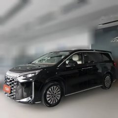 2025 BYD Xia 2025 DM-i 1.5T AT 180km excellence #1