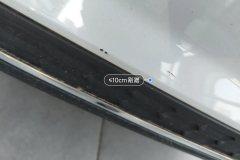 Rear Bumper