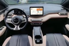 2024 BYD Seagull 2025 305km freeEdition #12