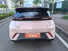 2024 BYD Seagull 2024 Glory 305KM freeEdition #5