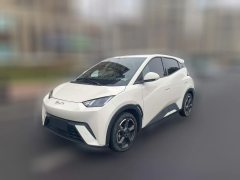 2024 BYD Seagull 2024 Glory 405KM flyEdition #1
