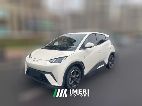 2024 BYD Seagull 2024 Glory 405KM flyEdition