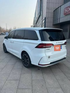 2021 Roewe iMAX8 2021 2.0T AT 400TGISupremeSeriesLu ZunEdition #5