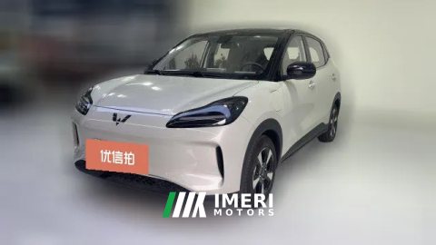 2026 Wuling Motors Wuling Bingo Plus 2024 401km 5SeatEdition