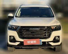 2021 Haval H6 2021 1.5T AT China tideChampion #2