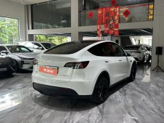 2022 Tesla Model Y 2022 rear wheel driveEdition #30