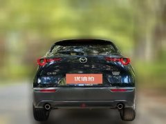 2021 Mazda CX-30 2021 2.0L AT Jiayue #5
