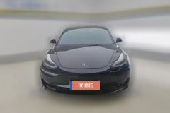 2021 Tesla Model 3 2021 StandardBattery lifeRWDUpgradeEdition 3D6 #2