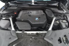 2021 BMW 5 Series 2021 2.0T AT 530LiLeadingLuxury Pkg #10