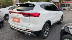 2021 Haval H6 2021 1.5T AT China tideChampion #8