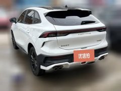 2023 Dongfeng Fengxing Fengxing T5 Evo 2024 1.5TD DCT Storm Platinum Edition #4