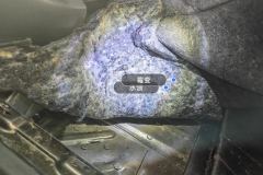 Right Rear Carpet