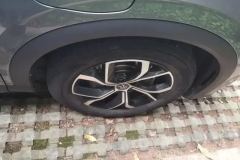 2025 BYD Yuan Plus 2024 Glory 430KM Surpass #6