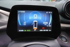 2022 BYD Dolphin 2021 401km knightEdition #14