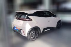 2024 BYD Seagull 2023 freeEdition #3