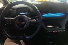2022 BYD Dolphin 2023 420km Fashion #12