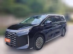 2025 BYD Xia 2025 DM-i 1.5T AT 180km excellence #1