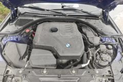 2019 BMW 3 Series 2020 2.0T AT 325Li MM Sport Shadow #9