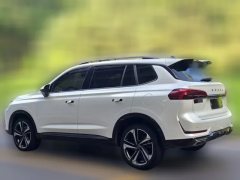 2023 Roewe RX5 MAX 2022 1.5T AT promisingLuxury #4