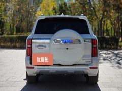 2024 Tank 500 PHEV 2024 Hi4-T 2.0T AT #10
