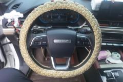 2024 Jetour X70 2024 1.5T DCTgloryPRO 7Seat #15