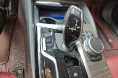 2021 BMW 5 Series 2021 2.0T AT 530LiLeadingLuxury Pkg #16