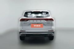 2021 Haval H6 2021 1.5T AT China tideChampion #4