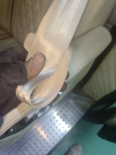 Left Rear Seatbelt
