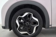 2022 BYD Dolphin 2021 405km Fashion #6