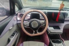 2022 BYD Dolphin 2021 405km Fashion #15