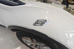 Right Front Fender