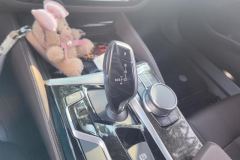2020 BMW 5 Series 2020 2.0T AT 525Li MSport Pkg #16