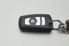 2015 BMW 5 Series 2014 2.0T AT 525LiLeading #10
