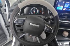 2022 Haval H6 2021 1.5T AT China tideChampion #15