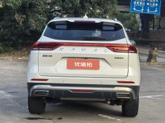 2022 Haval H6 2021 1.5T AT China tideChampionGDI #5